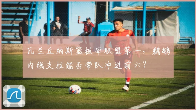瓦兰丘纳斯篮板率联盟第一，鹈鹕内线支柱能否带队冲进前六？