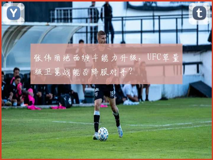 张伟丽地面缠斗能力升级，UFC草量级卫冕战能否降服对手？